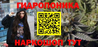 спиды Ливны