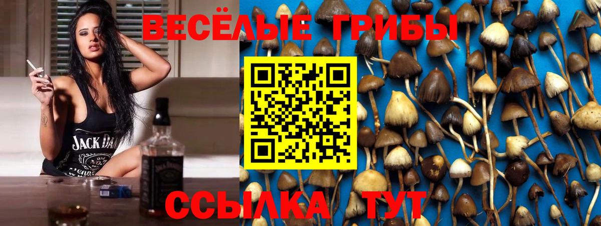Псилоцибиновые грибы мицелий Каменск-Уральский