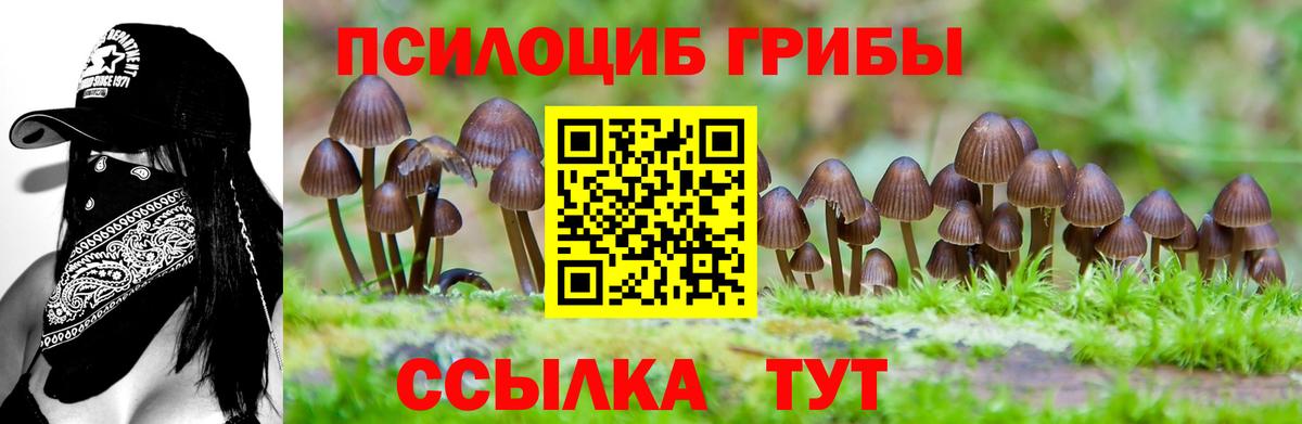 Псилоцибиновые грибы Magic Shrooms  Псилоцибиновые грибы GOLDEN TEACHER  Вход с VPN  Каменск-Уральский 